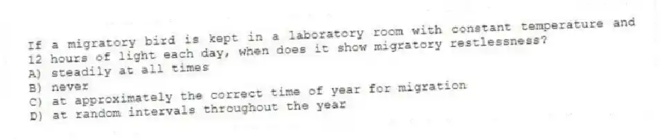 If a migratory bird is kept in a laboratory room with constant temperature and 12 hours of light each day, when does it show migratory restlessness?
A) steadily at all times
B) never
C) at approximately the correct time of year for migration
D) at random intervals throughout the year