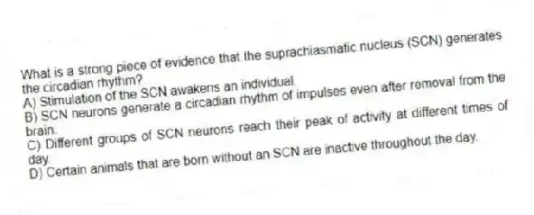 What is a strong piece of evidence that the suprachiasmatic nucleus (SCN) generates the circadian rhythm?
A) Stimulation of the SCN awakens an individual.
B) SCN neurons generate a circadian rhythm of impulses even after removal from the brain.
C) Different groups of SCN neurons reach their peak of activity at different times of day.
D) Certain animals that are born without an SCN are inactive throughout the day.