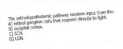 The retinohypothalamic pathway receives input from the:
A) retinal ganglion cells that respond directly to light.
B) occipital cortex.
C) SCN.
D) LGN.