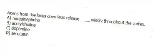 Axons from the locus coeruleus release ____ widely throughout the cortex.
A) norepinephrine
B) acetylcholine
C) dopamine
D) serotonin