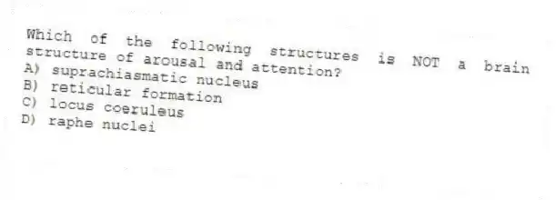 Which of the following structures is NOT a brain structure of arousal and attention?
A) suprachiasmatic nucleus
B) reticular formation
C) locus coeruleus
D) raphe nuclei