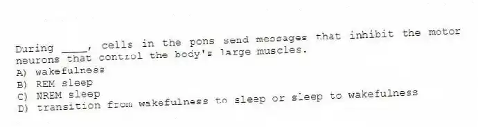 During ____, cells in the pons send messages that inhibit the motor neurons that control the body's large muscles.
A) wakefulness
B) REM sleep
C) NREM sleep
D) transition from wakefulness to sleep or sleep to wakefulness