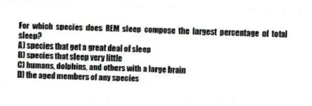 For which species does REM sleep compose the largest percentage of total sleep?
A) species that get a great deal of sleep
B) species that sleep very little
C) humans, dolphins, and others with a large brain
D) the aged members of any species