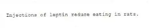 Injections of leptin reduce eating in rats.