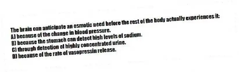 The brain can anticipate an osmotic need before the rest of the body actually experiences it:
A) because of the change in blood pressure.
B) because the stomach can detect high levels of sodium.
C) through detection of highly concentrated urine.
D) because of the rate of vasopressin release.