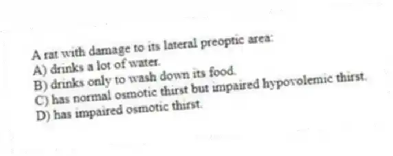 A rat with damage to its lateral preoptic area:
A) drinks a lot of water.
B) drinks only to wash down its food.
C) has normal osmotic thirst but impaired hypovolemic thirst.
D) has impaired osmotic thirst.