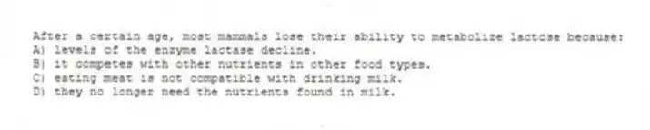 After a certain age, most mammals lose their ability to metabolize lactose because:
A) levels of the enzyme lactase decline.
B) it competes with other nutrients in other food types.
C) eating meat is not compatible with drinking milk.
D) they no longer need the nutrients found in milk.