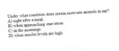 Under what condition does orexin motivate animals to eat?
A) right after a meal
B) when approaching starvation
C) in the mornings
D) when insulin levels are high
