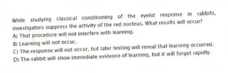 While studying classical conditioning of the eyelid response in rabbits, investigators suppress the activity of the red nucleus. What results will occur?
A) That procedure will not interfere with learning.
B) Learning will not occur.
C) The response will not occur, but later testing will reveal that learning occurred.
D) The rabbit will show immediate evidence of learning, but it will forget rapidly.