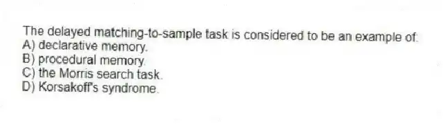 The delayed matching-to-sample task is considered to be an example of:
A) declarative memory.
B) procedural memory.
C) the Morris search task.
D) Korsakoff's syndrome.