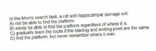 In the Morris search task, a rat with hippocampal damage will:
A) not be able to find the platform.
B) easily be able to find the platform regardless of where it is.
C) gradually learn the route if the starting and ending point are the same.
D) find the platform, but never remember where it was.
