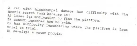 A rat with hippocampal damage has difficulty with the Morris search task because it:
A) loses its motivation to find the platform.
B) cannot remember how to swim.
C) has difficulty remembering where the platform is from trial to trial.
D) develops a water phobia.