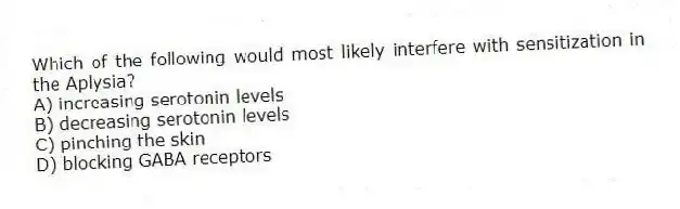 Which of the following would most likely interfere with sensitization in the Aplysia?
A) increasing serotonin levels
B) decreasing serotonin levels
C) pinching the skin
D) blocking GABA receptors