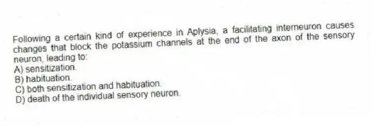 Following a certain kind of experience in Aplysia, a facilitating interneuron causes changes that block the potassium channels at the end of the axon of the sensory neuron, leading to:
A) sensitization.
B) habituation.
C) both sensitization and habituation.
D) death of the individual sensory neuron.