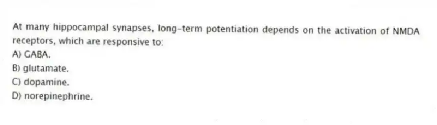 At many hippocampal synapses, long-term potentiation depends on the activation of NMDA receptors, which are responsive to:
A) GABA.
B) glutamate.
C) dopamine.
D) norepinephrine.