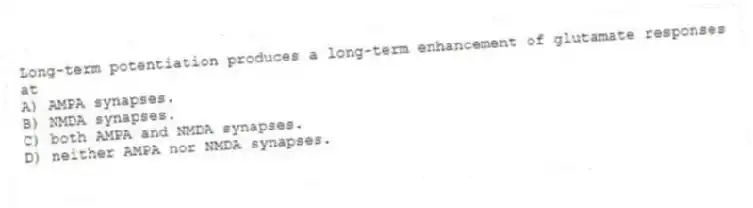 Long-term potentiation produces a long-term enhancement of glutamate responses at
A) AMPA synapses.
B) NMDA synapses.
C) both AMPA and NMDA synapses.
D) neither AMPA nor NMDA synapses.