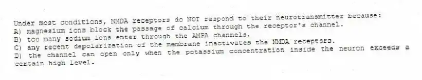 Under most conditions, NMDA receptors do NOT respond to their neurotransmitter because:
A) magnesium ions block the passage of calcium through the receptor's channel.
B) too many sodium ions enter through the AMPA channels.
C) any recent depolarization of the membrane inactivates the NMDA receptors.
D) the channel can open only when the potassium concentration inside the neuron exceeds a certain high level.