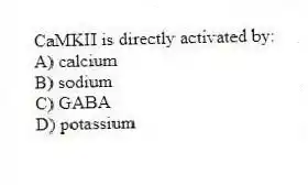 CaMKII is directly activated by:
A) calcium
B) sodium
C) GABA
D) potassium