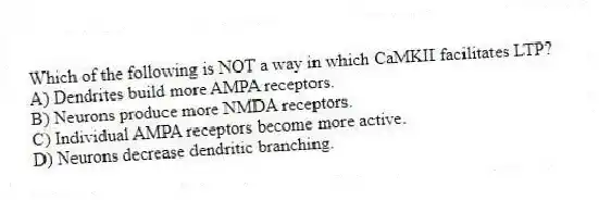 Which of the following is NOT a way in which CaMKII facilitates LTP?
A) Dendrites build more AMPA receptors.
B) Neurons produce more NMDA receptors.
C) Individual AMPA receptors become more active.
D) Neurons decrease dendritic branching.