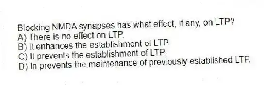 Blocking NMDA synapses has what effect, if any, on LTP?
A) There is no effect on LTP.
B) It enhances the establishment of LTP.
C) It prevents the establishment of LTP.
D) In prevents the maintenance of previously established LTP.