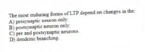 The most enduring forms of LTP depend on changes in the:
A) presynaptic neuron only.
B) postsynaptic neuron only.
C) pre and postsynaptic neurons.
D) dendritic branching.