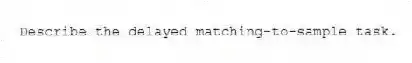 Describe the delayed matching-to-sample task.