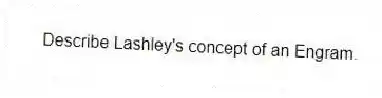 Describe Lashley's concept of an Engram.