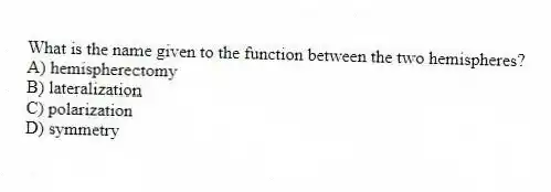 What is the name given to the function between the two hemispheres?
A) hemispherectomy
B) lateralization
C) polarization
D) symmetry