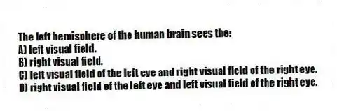 The left hemisphere of the human brain sees the:
A) left visual field.
B) right visual field.
C) left visual field of the left eye and right visual field of the right eye.
D) right visual field of the left eye and left visual field of the right eye.