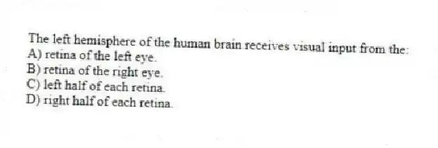 The left hemisphere of the human brain receives visual input from the:
A) retina of the left eye.
B) retina of the right eye.
C) left half of each retina.
D) right half of each retina.