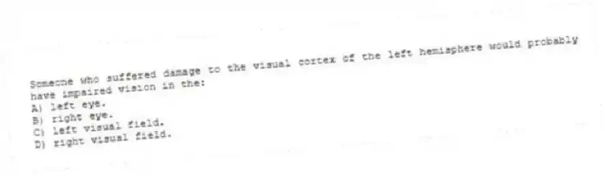 Someone who suffered damage to the visual cortex of the left hemisphere would probably have impaired vision in the:
A) left eye.
B) right eye.
C) left visual field.
D) right visual field.