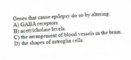Genes that cause epilepsy do so by altering:
A) GABA receptors.
B) acetylcholine levels.
C) the arrangement of blood vessels in the brain.
D) the shapes of astroglia cells.