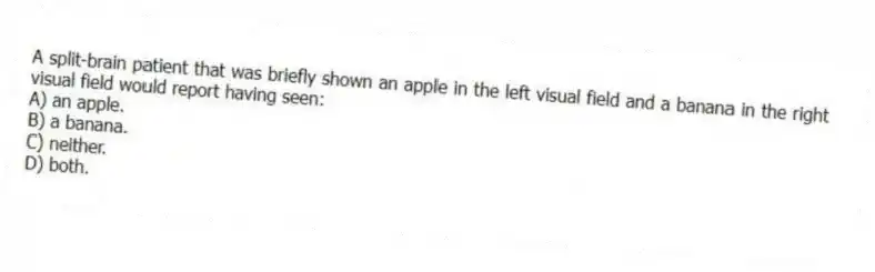 A split-brain patient that was briefly shown an apple in the left visual field and a banana in the right visual field would report having seen:
A) an apple.
B) a banana.
C) neither.
D) both.