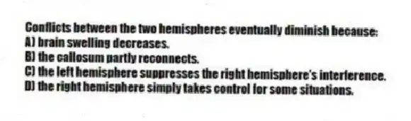 Conflicts between the two hemispheres eventually diminish because:
A) brain swelling decreases.
B) the callosum partly reconnects.
C) the left hemisphere suppresses the right hemisphere's interference.
D) the right hemisphere simply takes control for some situations.