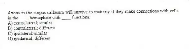 Axons in the corpus callosum will survive to maturity if they make connections with cells in the ____ hemisphere with ____ functions.
A) contralateral; similar
B) contralateral; different
C) ipsilateral; similar
D) ipsilateral; different
