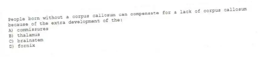 People born without a corpus callosum can compensate for a lack of corpus callosum because of the extra development of the:
A) commissures
B) thalamus
C) brainstem
D) fornix