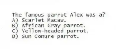 The famous parrot Alex was a?
A) Scarlet Macaw.
B) African Gray parrot.
C) Yellow-headed parrot.
D) Sun Conure parrot.