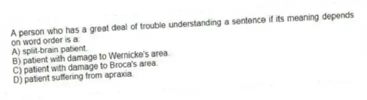A person who has a great deal of trouble understanding a sentence if its meaning depends on word order is a:
A) split-brain patient.
B) patient with damage to Wernicke's area.
C) patient with damage to Broca's area.
D) patient suffering from apraxia.