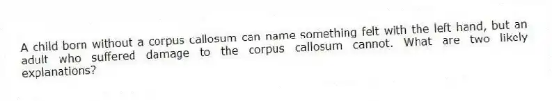 A child born without a corpus callosum can name something felt with the left hand, but an adult who suffered damage to the corpus callosum cannot. What are two likely explanations?