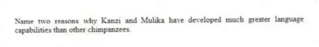 Name two reasons why Kanzi and Mulika have developed much greater language capabilities than other chimpanzees.