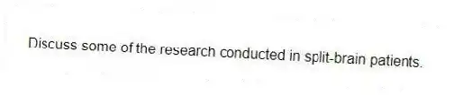 Discuss some of the research conducted in split-brain patients.