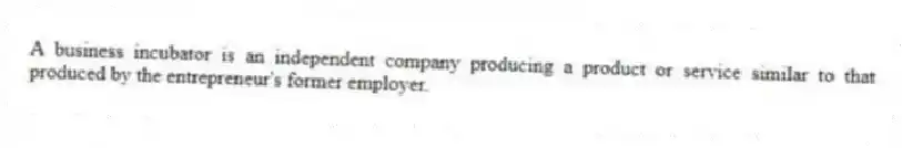 A business incubator is an independent company producing a product or service similar to that produced by the entrepreneur's former employer.