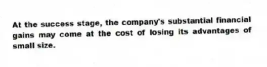 At the success stage, the company's substantial financial gains may come at the cost of losing its advantages of small size.