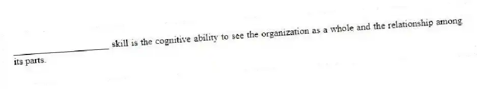 ____________________ skill is the cognitive ability to see the organization as a whole and the relationship among its parts.