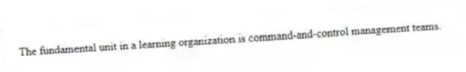 The fundamental unit in a learning organization is command-and-control management teams.