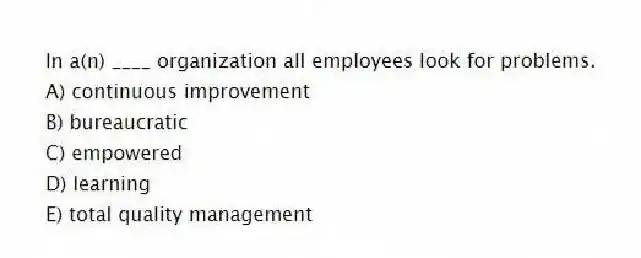 In a(n) ____ organization all employees look for problems.
A) continuous improvement
B) bureaucratic
C) empowered
D) learning
E) total quality management