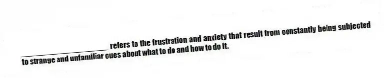 ____________________ refers to the frustration and anxiety that result from constantly being subjected to strange and unfamiliar cues about what to do and how to do it.