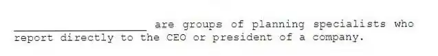 ____________________ are groups of planning specialists who report directly to the CEO or president of a company.