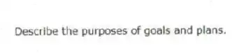 Describe the purposes of goals and plans.