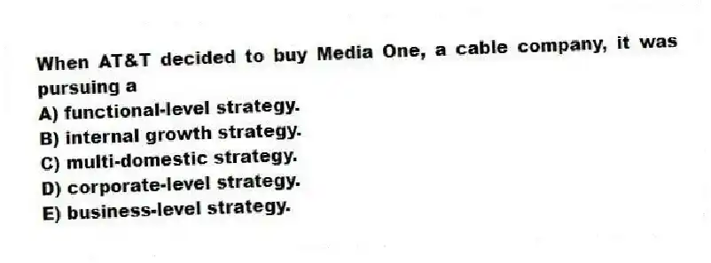 When AT&T decided to buy Media One, a cable company, it was pursuing a
A) functional-level strategy.
B) internal growth strategy.
C) multi-domestic strategy.
D) corporate-level strategy.
E) business-level strategy.